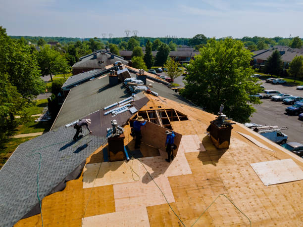 Roof Gutter Cleaning in Mount Airy, NC