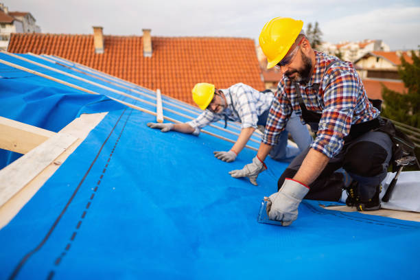 Professional Roofing Contractor in Mount Airy, NC