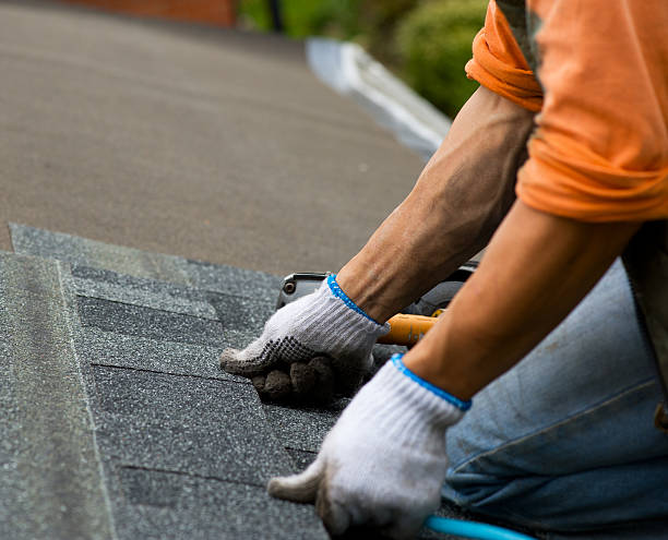 Best Roof Maintenance Services  in Mount Airy, NC