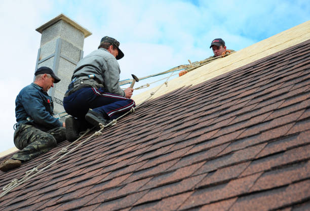 Best Storm Damage Roof Repair  in Mount Airy, NC